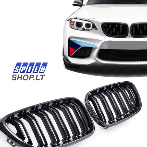 BMW 2 (F22-F33) grotelės